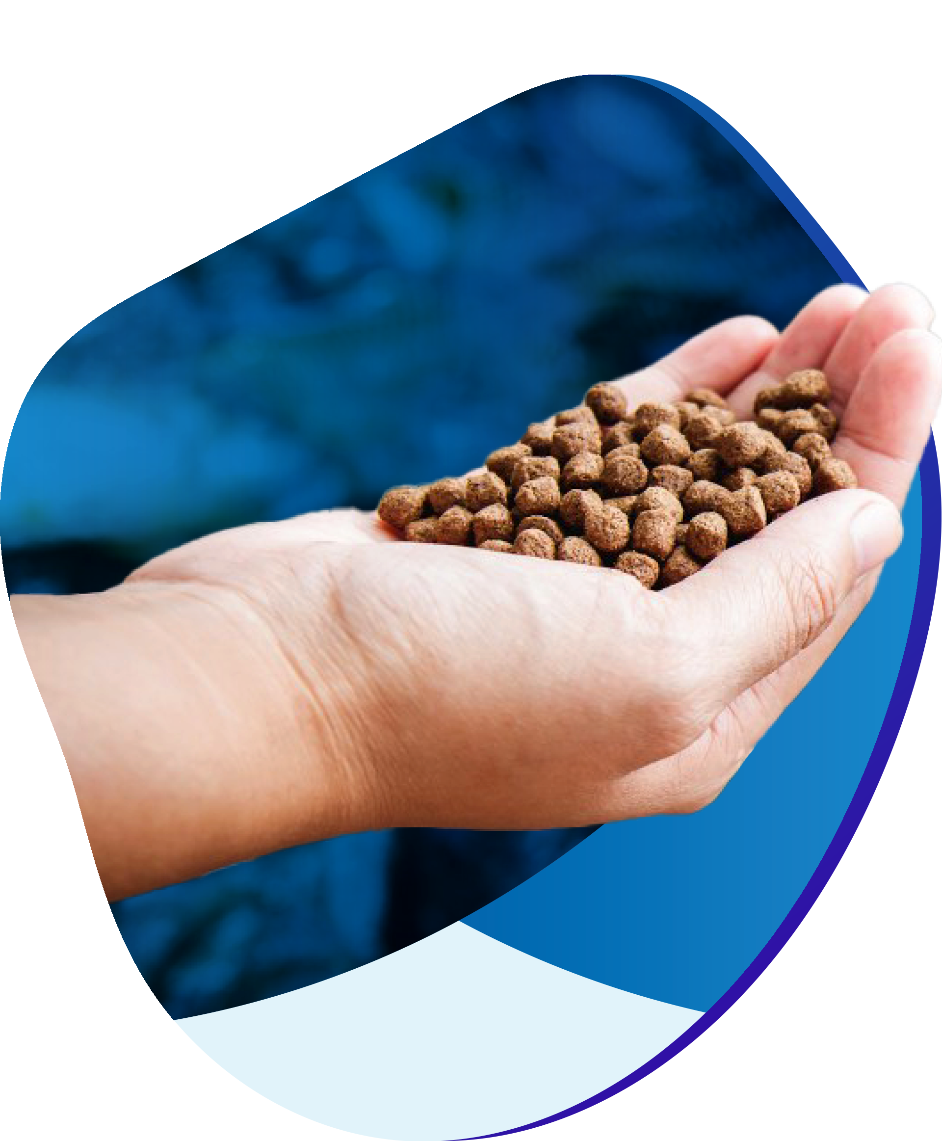 AFTAB FEED PRODUCTS LTD.