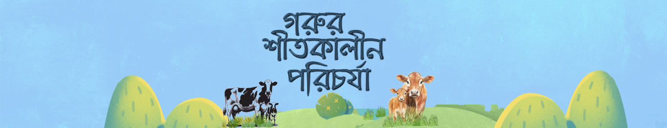 শীতেও সুরক্ষিত থাকুক খামার, আফতাব ফিডেই সমাধান।