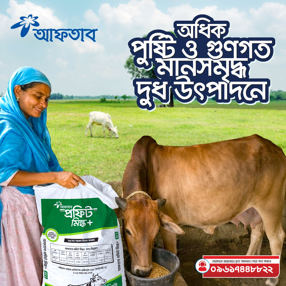 AFTAB Cattle Dairy